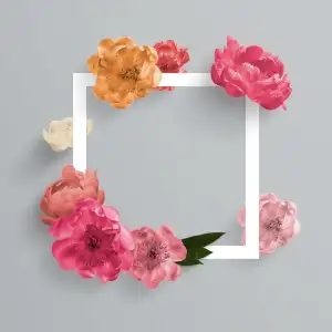 It Rekvalifikace