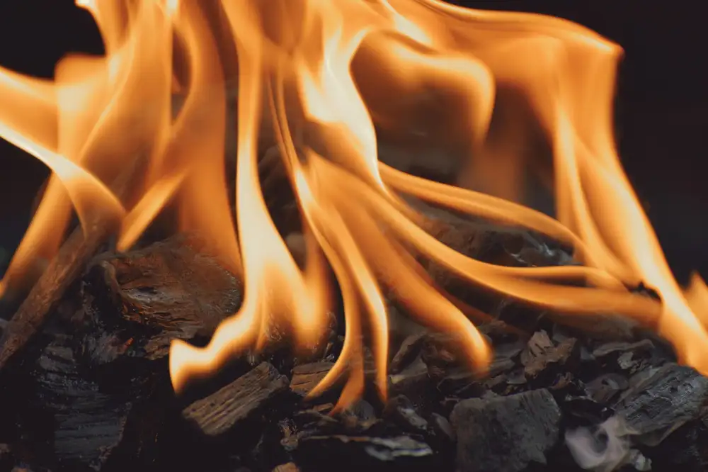 Scorch
