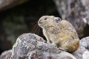 Gymnázium Luďka Pika